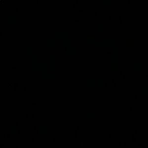 Meet your Posher, Chase